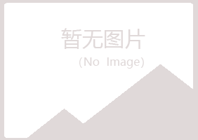 白银平川小萱造纸有限公司